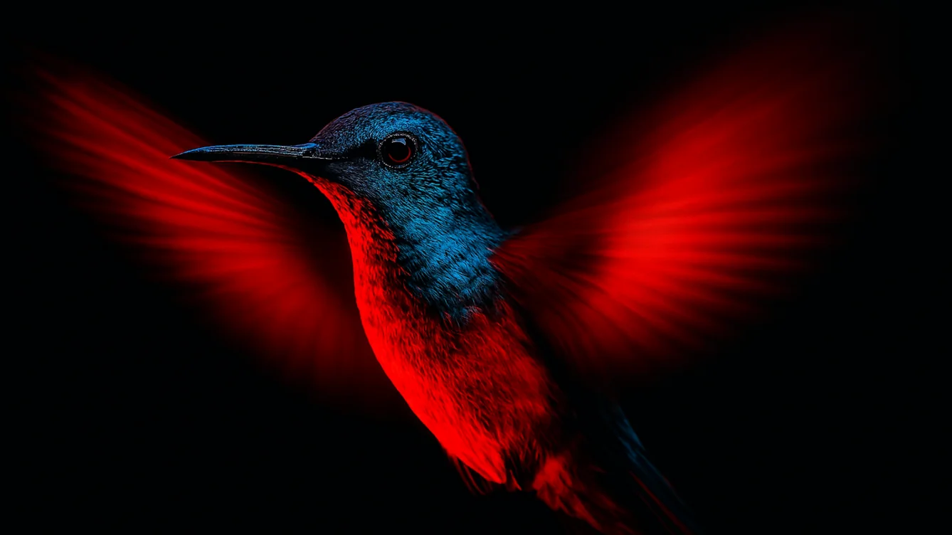 Da1TimeTable hummingbird — AI-powered scheduling